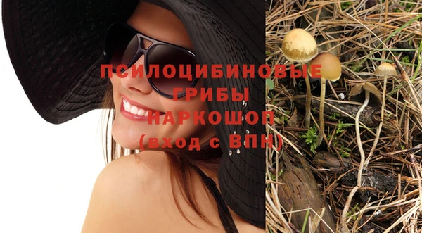 2c-b Абдулино