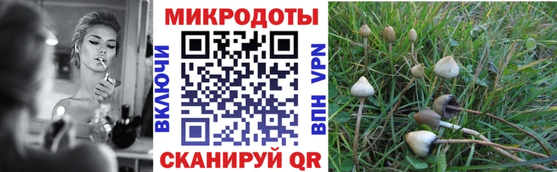 Галлюциногенные грибы Cubensis  Киренск 