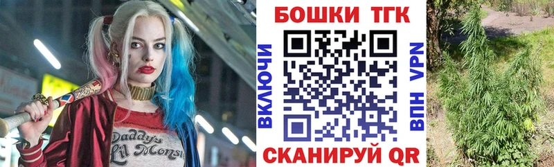 Каннабис ГИДРОПОН  где найти наркотики  Киренск 